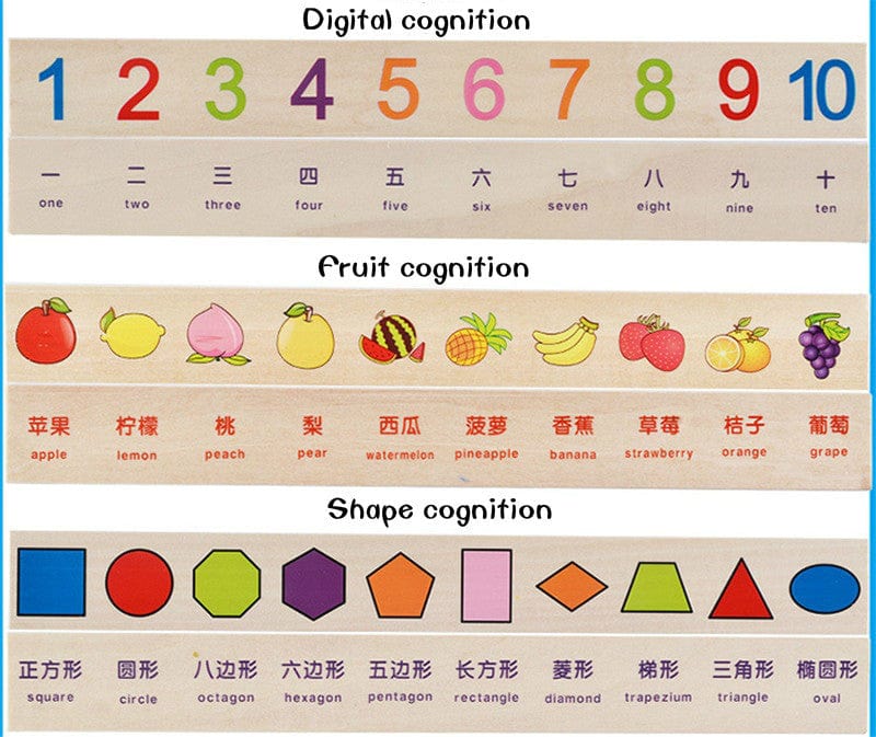 Boite Classification Montessori