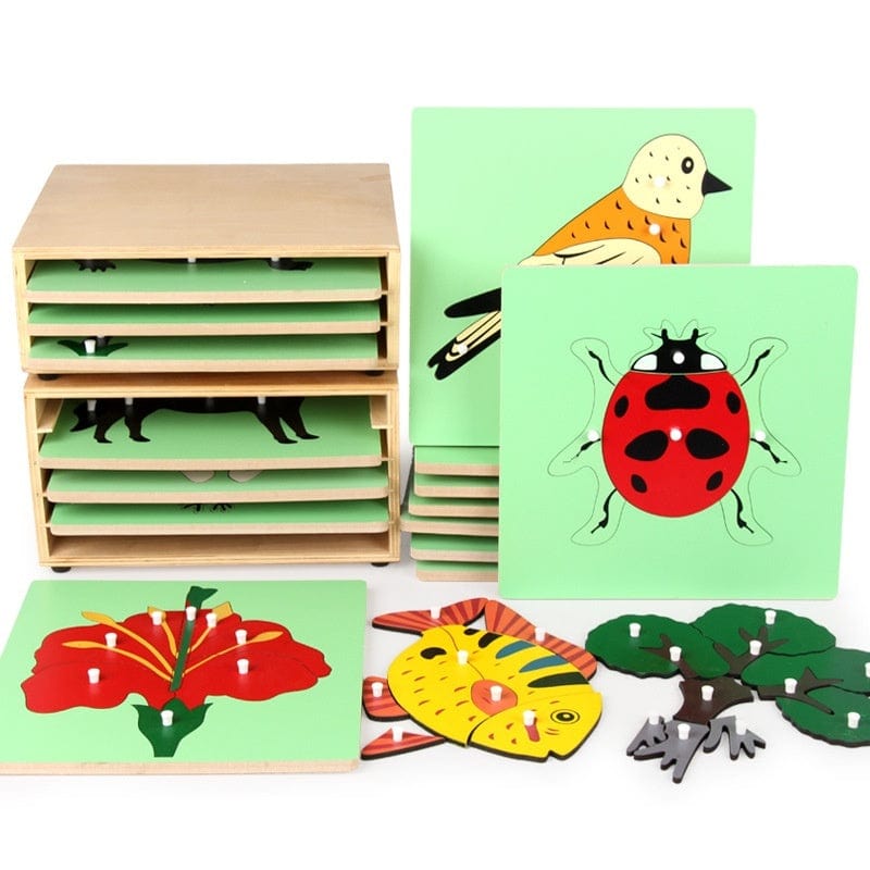 Cabinet de Zoologie Montessori