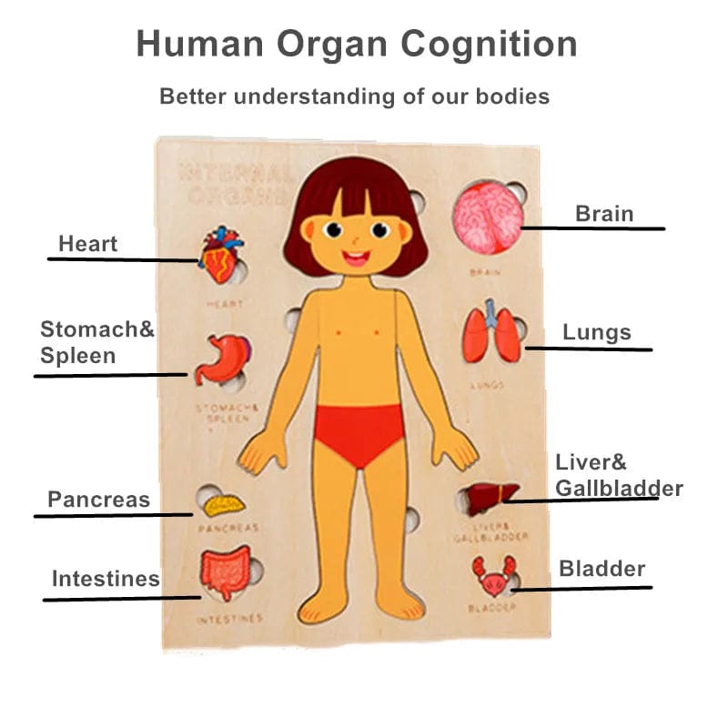 Puzzle Corps Humain Montessori