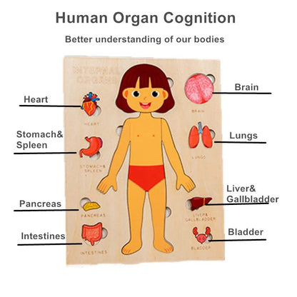 Puzzle Corps Humain Montessori