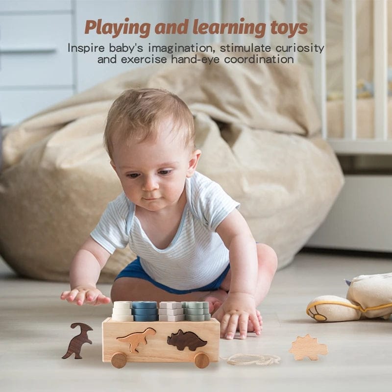 Puzzle Encastrement Montessori