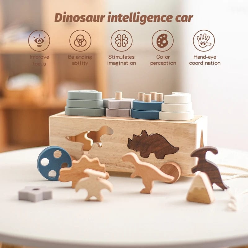 Puzzle Encastrement Montessori
