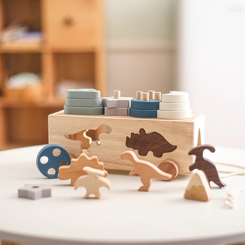 Puzzle Encastrement Montessori
