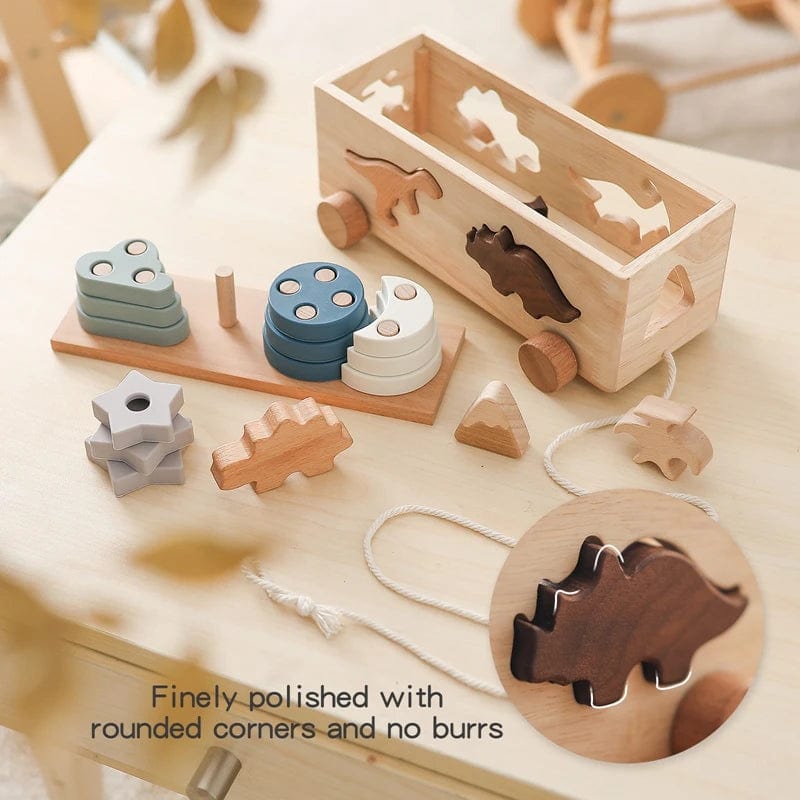 Puzzle Encastrement Montessori