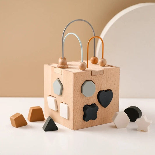 Puzzle Montessori 18 Mois