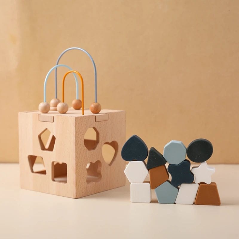Puzzle Montessori 18 Mois